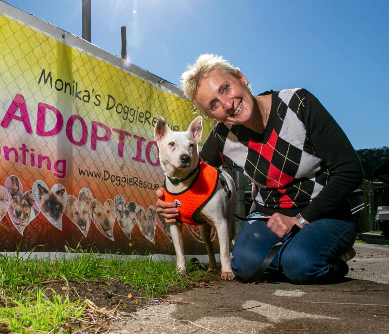 FOR LIFE: Scooter and Monika BiernackI at Monika's Doggie Rescue in Ingleside. Picture: Geoff Jones