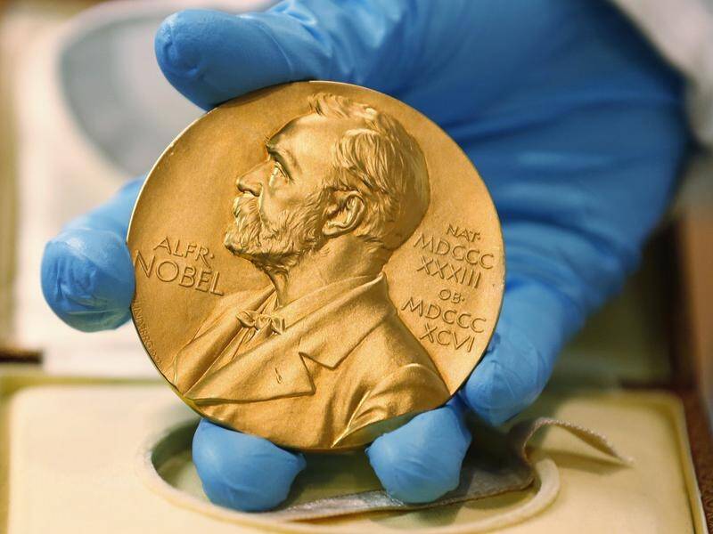 Scientists Syukuro Manabe, Klaus Hasselmann and Giorgio Parisi have won the Nobel Prize for Physics.