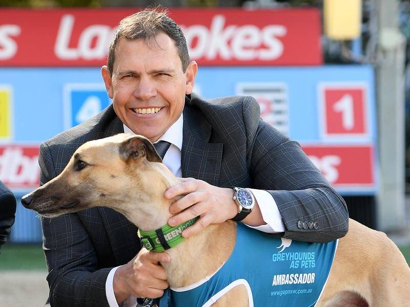 Former Greyhound Racing NSW boss Tony Mestrov is the new CEO of NRL club Manly.
