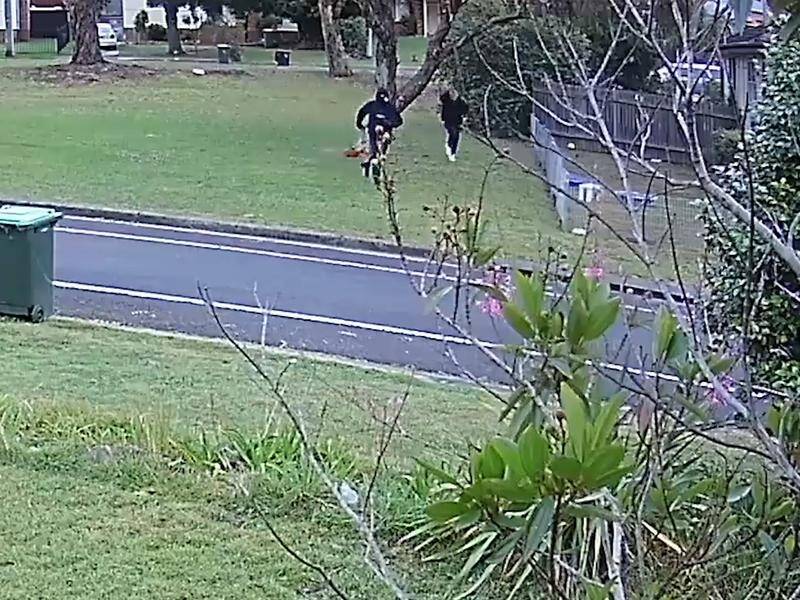 NSW Police have released CCTV footage of cars and suspects related to two shooting murders.