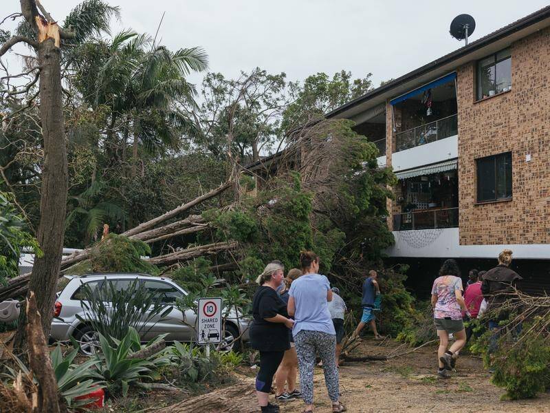 More than 35,000 homes lost power after the freak storm tore through Sydney's northern beaches.