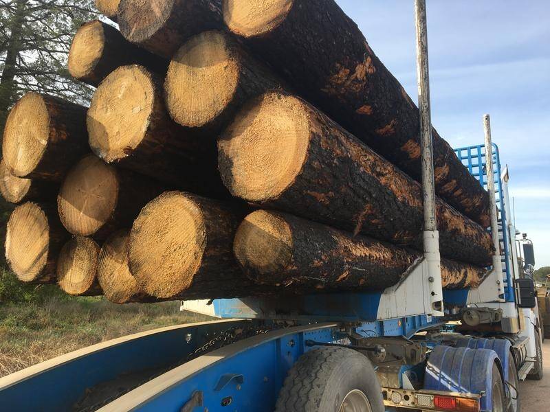 The Australian Press Council has identified unfair and misleading reporting about logging.
