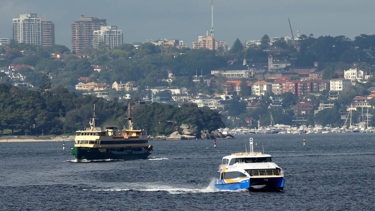 NEW OPERATOR: The NSW Government has issued an open tender for a new operator of the Manly Fast Ferry service. Picture: Geoff Jones
