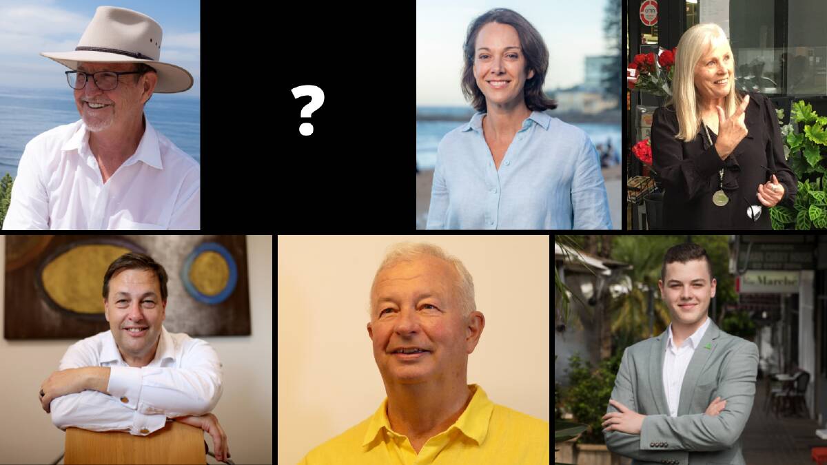MACKELLAR: (clockwise from top left) Candidates Barry Steele (The New Liberals candidate), Darren Dickson (One Nation), Dr Sophie Scamps (Independent), Paula Goodman (Labor), Ethan Hrnjak (The Greens), Christopher Ball (United Australia Party) and incumbent MP Jason Falinski (Liberal). 
