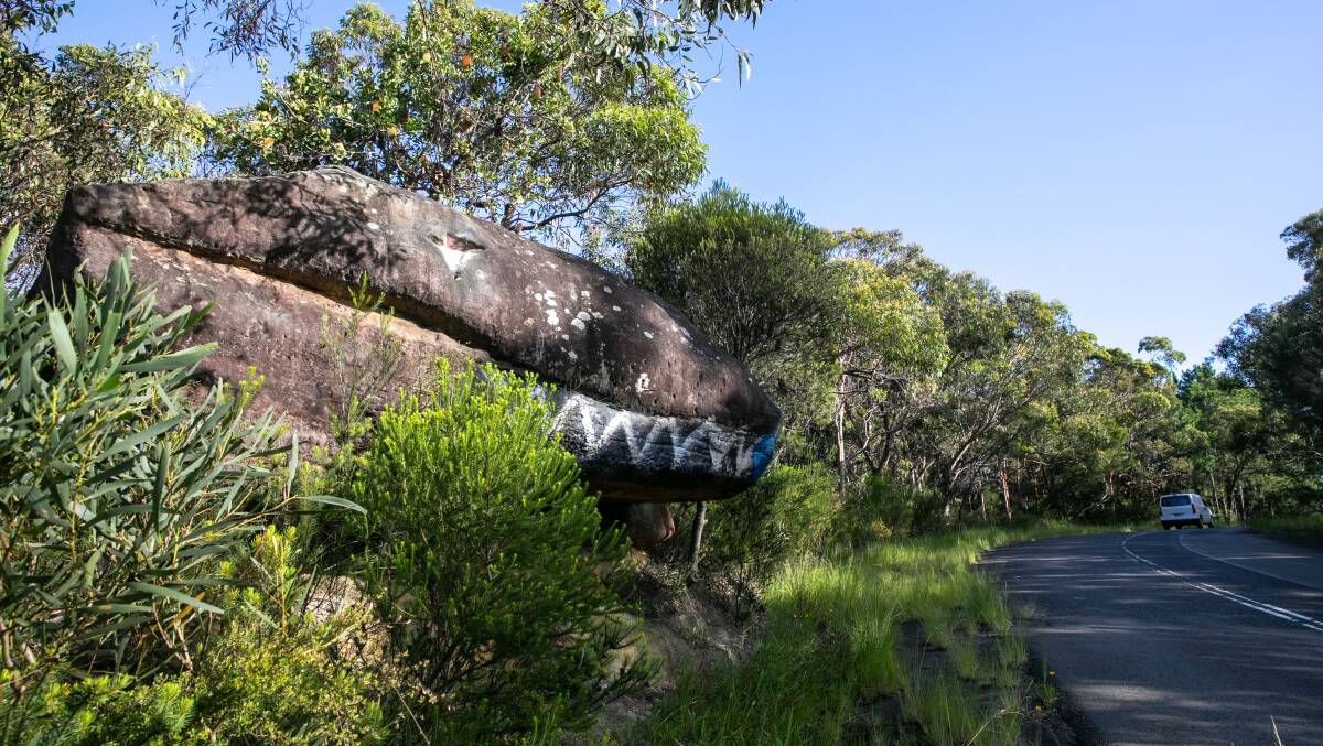 RECONSIDER: Plans to develop bushland blocks across the LGA, including a 71 hectare site at Lizard Rock in Belrose, should be reconsidered, Northern Beaches Council says. Picture: Geoff Jones